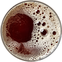 https://www.hellohitgo.nl/wp-content/uploads/2017/05/beer_transparent_02.png