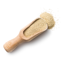 https://www.hellohitgo.nl/wp-content/uploads/2017/05/ingredients_transparent_02.png